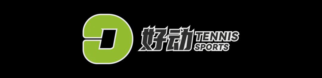 卢卡库替补造乌龙 比利时1
