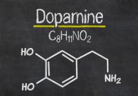 Fasting on Dopamine. What it is and how it is practiced.